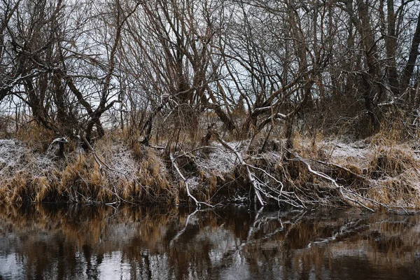 Stromy Řeky Konci Podzimu Suchou Trávou Prvním Sněhem Scénický Pohled — Stock fotografie