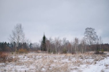 Sonbaharın sonlarında kurak çimenler ve ilk karla birlikte nehir kenarındaki tarla. Manzara Görünümü.
