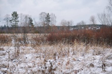 Sonbaharın sonlarında kurak çimenler ve ilk karla birlikte nehir kenarındaki tarla. Manzara Görünümü.
