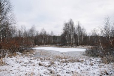 Sonbaharın sonlarında nehir kenarındaki ağaçlar kuru çimenler ve ilk karla kaplı. Manzara Görünümü.