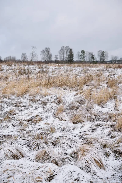 Campo Junto Río Finales Otoño Con Hierba Seca Primera Nieve — Foto de Stock