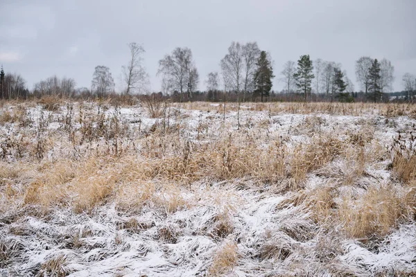 Pole Nad Rzeką Późną Jesienią Suchą Trawą Pierwszym Śniegiem Widok — Zdjęcie stockowe