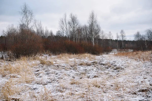 Sonbaharın sonlarında kurak çimenler ve ilk karla birlikte nehir kenarındaki tarla. Manzara Görünümü.