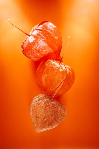 Три Коробки Фруктами Физалиса Форме Сердца Оранжевом Фоне Крупным Планом — стоковое фото