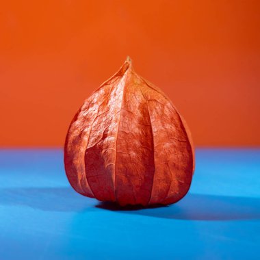 Felsefe meyvesindeki kurumuş kutu mavi-turuncu arka planda kalp şeklinde..