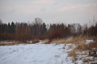 Sonbaharın sonlarında nehir kenarındaki ağaçlar kuru çimenler ve ilk karla kaplı. Manzara Görünümü.