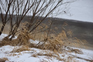 Sonbaharın sonlarında kurak çimenler ve ilk karla birlikte nehir kenarındaki tarla. Manzara Görünümü.