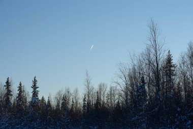 Yüksekten uçan uçak. Kış taygasında bataklıktan manzara.