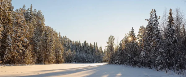 Frosty Wildwood Pokryté Sněhem — Stock fotografie