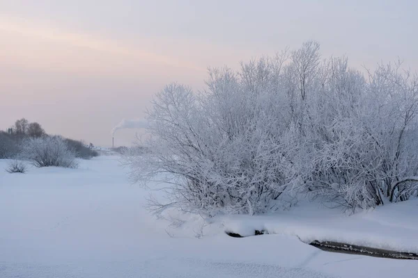 Frosty Matin Sur Rive Rivière — Photo