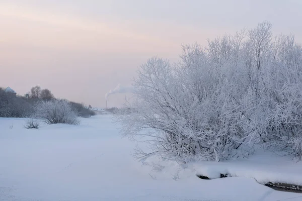 Морозное Утро Берегу Реки — стоковое фото