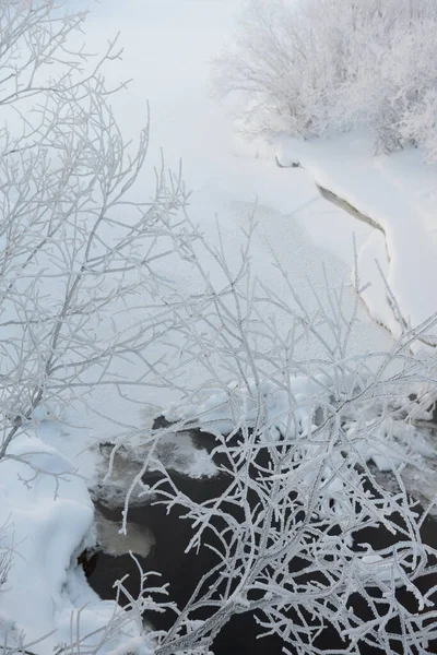 Mrazivé Ráno Břehu Řeky — Stock fotografie