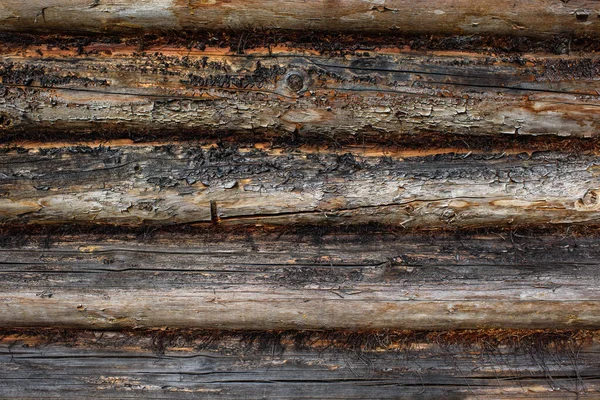 Aged Cracked Discolored Logs Building Close — Stock Photo, Image