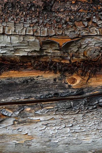 Fragment Old Wood Tarnished Texture Has Lost Its Color Bark — Stock Photo, Image