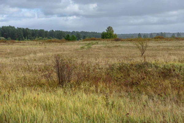 Eine Malerische Landschaft Ein Feld Spätherbst Mit Flächen Mit Gemähtem — Stockfoto