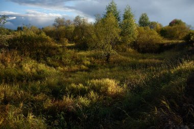 Sonbahar manzarası. Ağaçlar ve çalılarla kaplanmış, gün batımının ılık ışığında solmuş, renk değiştiren çimlerle kaplı küçük bir vadi..