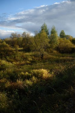 Sonbahar manzarası. Ağaçlar ve çalılarla kaplanmış, gün batımının ılık ışığında solmuş, renk değiştiren çimlerle kaplı küçük bir vadi..