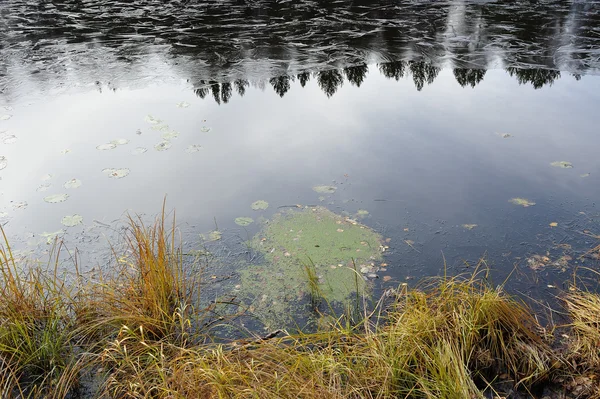 View Surface Lake Late Autumn — Stock Photo, Image