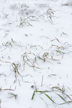 Karla kaplı ayrıntı alanının resmi kapatın.