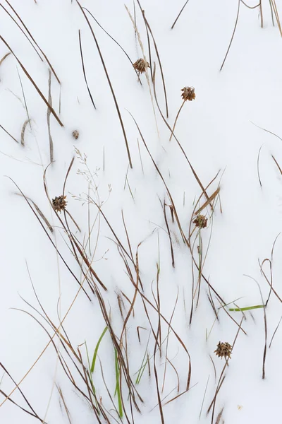 Närbild Foto Snötäckta Detaljer För Fältet — Stockfoto