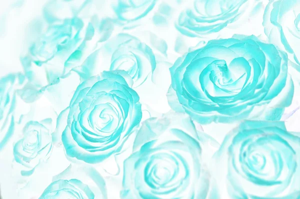 Asit gül buketi. Soyut