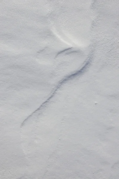 Natursnö bakgrund. — Stockfoto