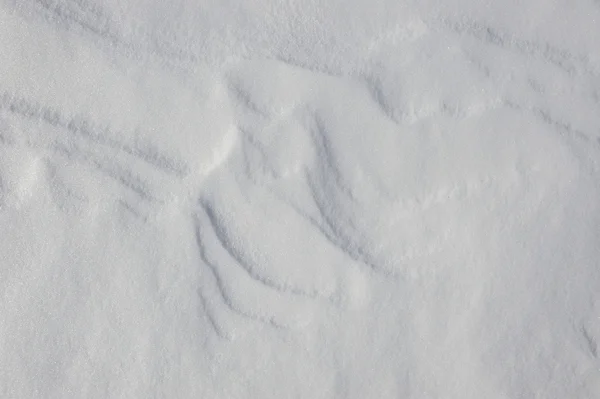 Естественный снег . — стоковое фото