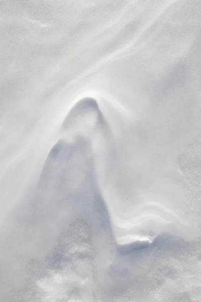 Natursnö bakgrund. — Stockfoto