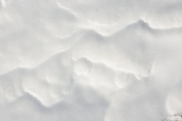 Natural snow background. — Stock Photo, Image