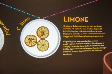 Sahneler, Milan, İtalya