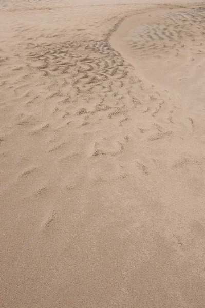 Sandstrand bakgrund. — Stockfoto