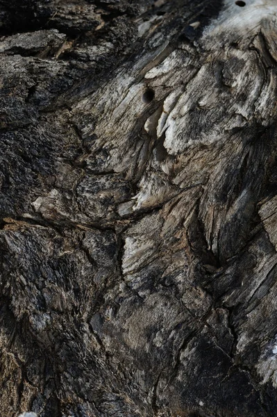 Деревянная Текстура Закрыть Фон — стоковое фото
