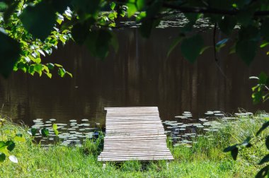 boş ahşap kürsü lake forest shore.