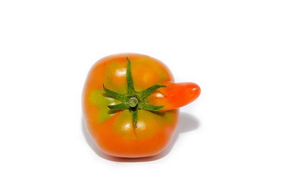 Strange tomato — Stock Photo, Image