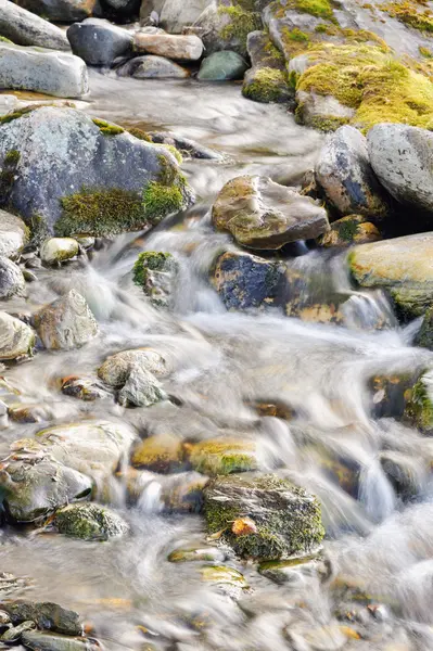 Ruisseau Montagnes Naturelles Subpolaires Gros Plan Arrière Plan — Photo