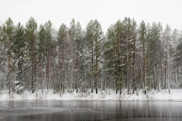 Lake efter första frosten. — Stockfoto