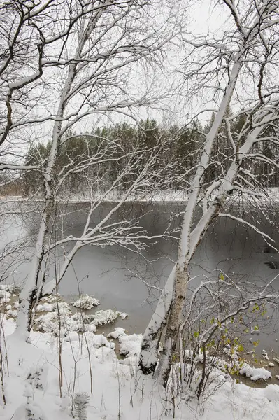 Forest Lake Beginning Winter — Stock Photo, Image