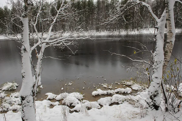 在初冬的森林湖 — 图库照片