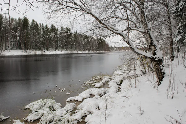 Waldsee Beginnenden Winter — Stockfoto