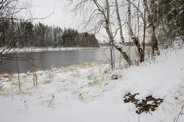 Waldsee Beginnenden Winter — Stockfoto