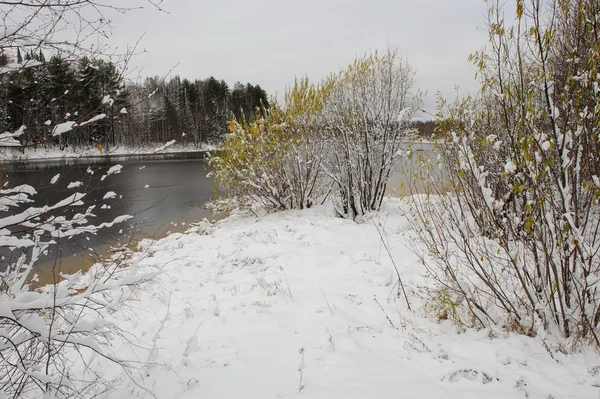 Waldsee Beginnenden Winter — Stockfoto