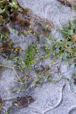 İnce hamur bir yere buz dondurulmuş.