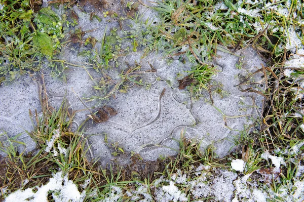 Gefrorene Dünne Eiskruste Auf Dem Boden — Stockfoto