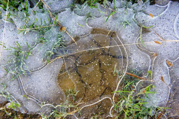 Заморожена Тонка Скоринка Льоду Землі — стокове фото