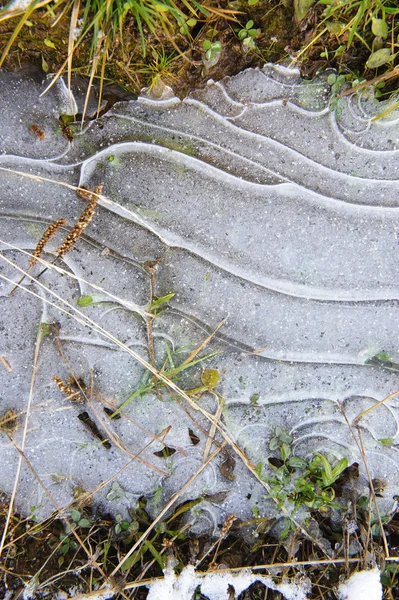 Corteza Delgada Congelada Hielo Suelo —  Fotos de Stock