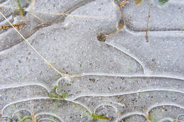 地上では氷の薄いクラストを凍結 — ストック写真