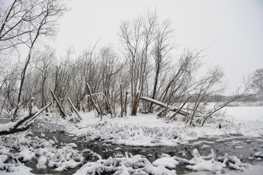 Soğuk bir gün vahşi akışta ayrıntılarını