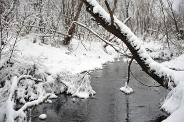 Soğuk bir gün vahşi akışta ayrıntılarını