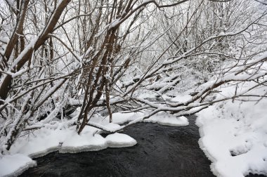 Soğuk bir gün vahşi akışta ayrıntılarını