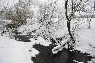 Soğuk bir gün vahşi akışta ayrıntılarını